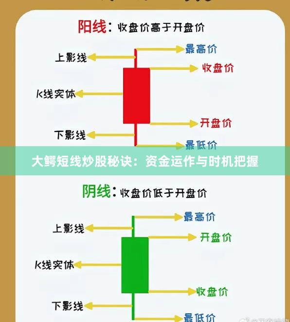 大鳄短线炒股秘诀：资金运作与时机把握