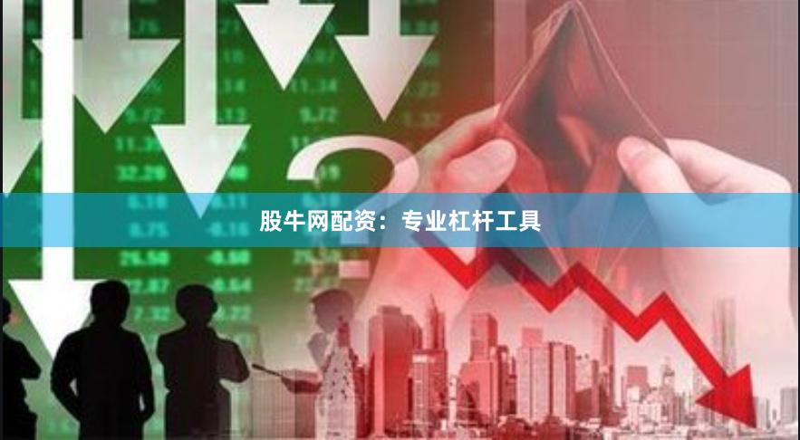 股牛网配资：专业杠杆工具